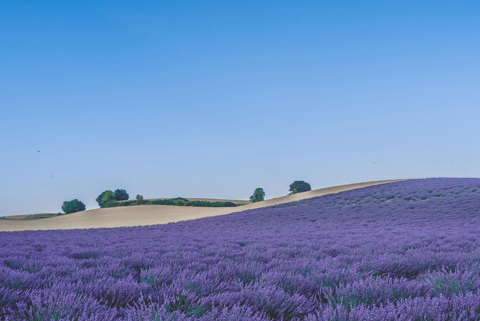 Provence Scenery