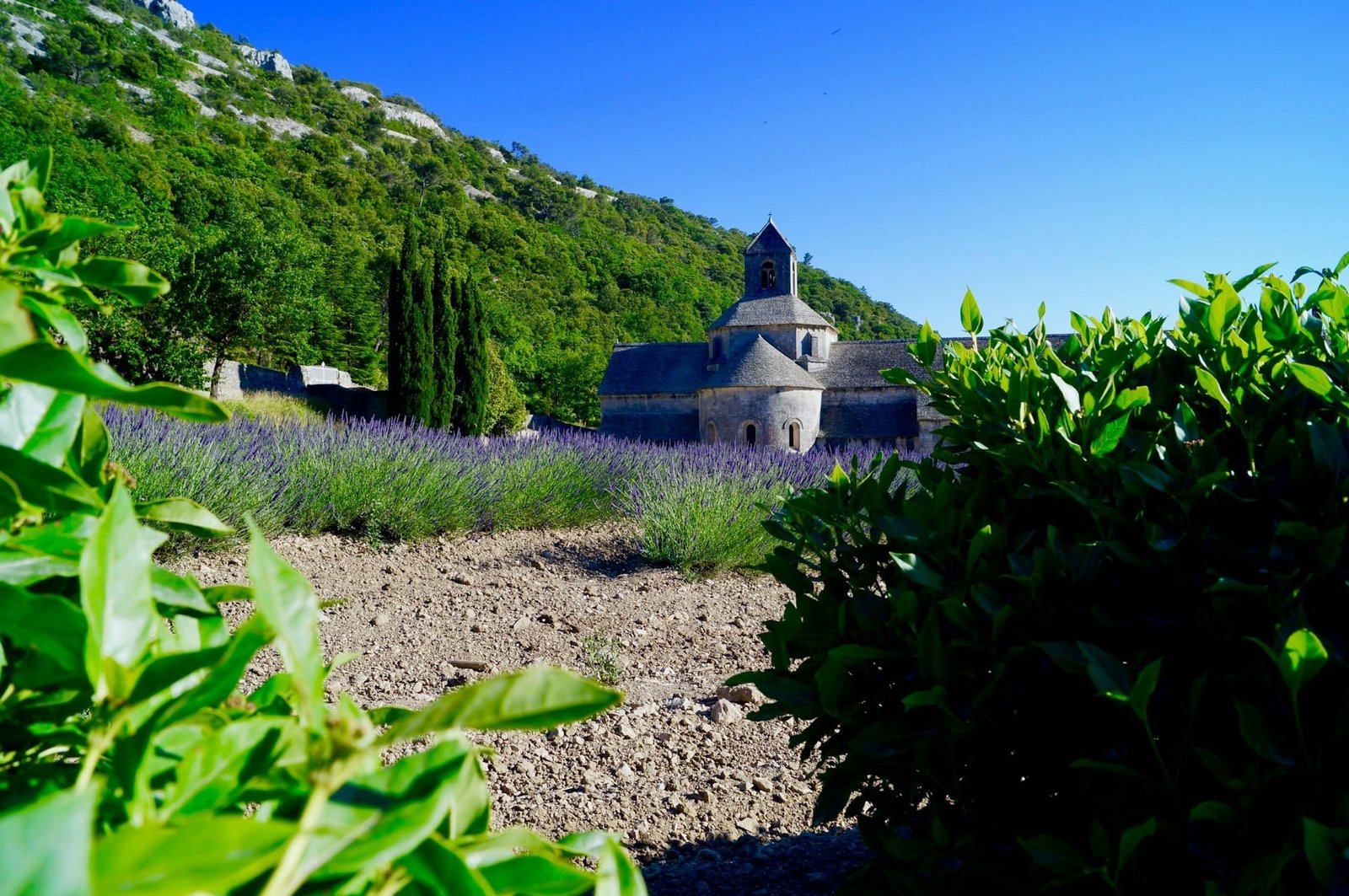 best times to visit Provence