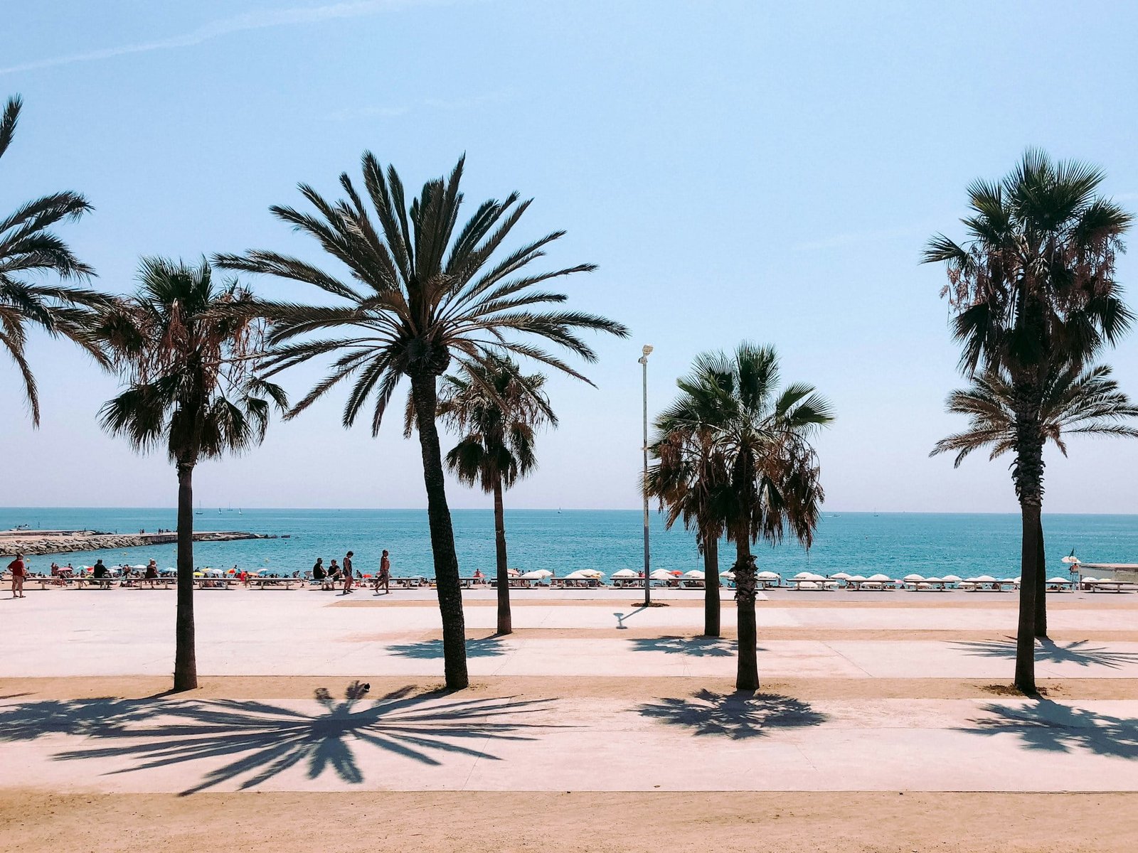 best things to do in Spain